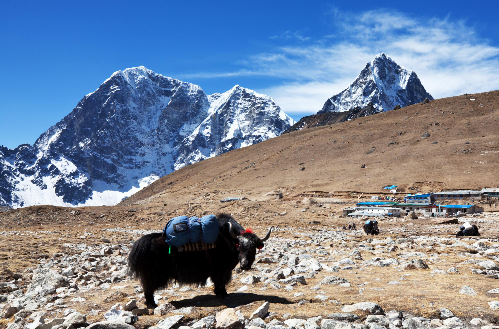 Everest Base Camp Motorcycle Tour – Tibet