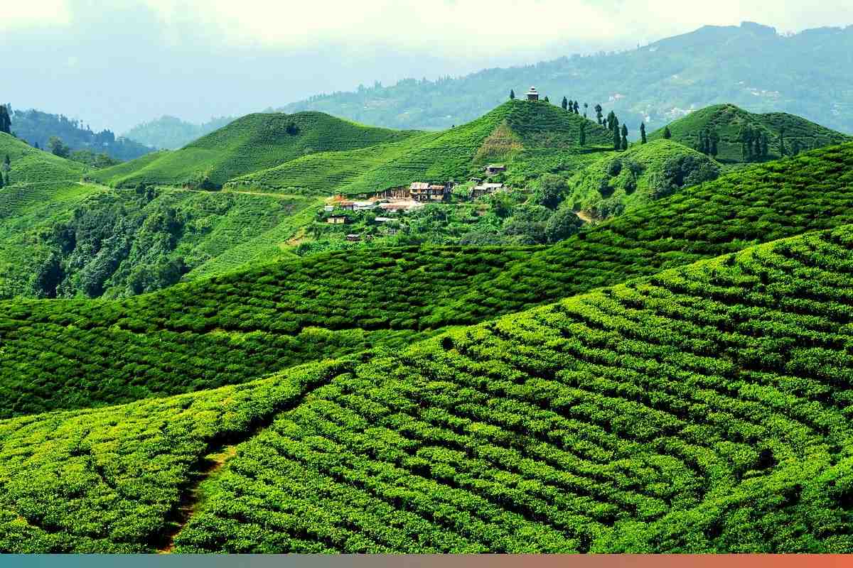 Ilam